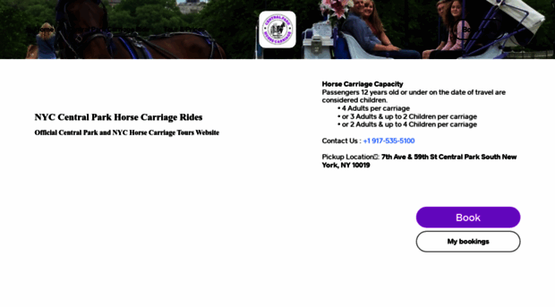 centralparkhorsecarriage.com