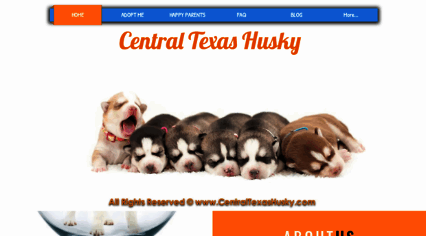 centraltexashusky.com