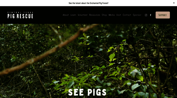 centraltexaspigs.org