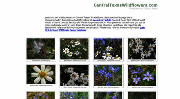 centraltexaswildflowers.com