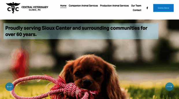 centralveterinaryclinic.com