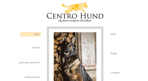 centrohund.com