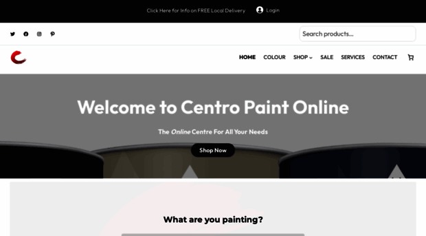 centropaint.com