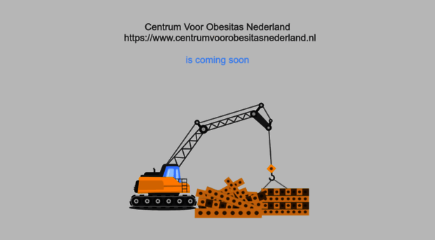 centrumvoorobesitasnederland.nl