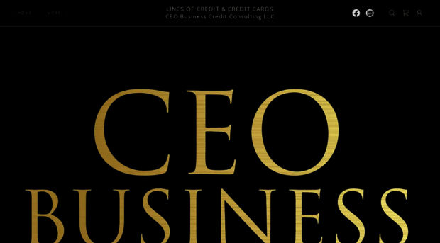 ceobusinesscreditconsultant.com