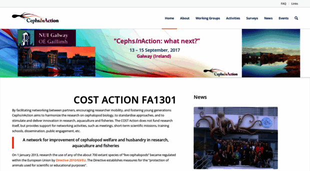 cephsinaction.org