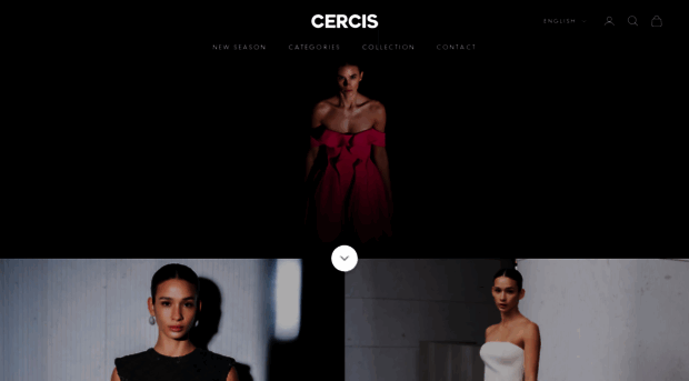 cercistr.com