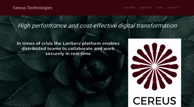 cereustech.com