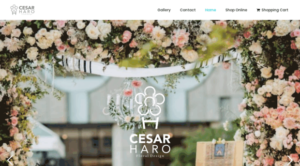 cesarharodesign.com