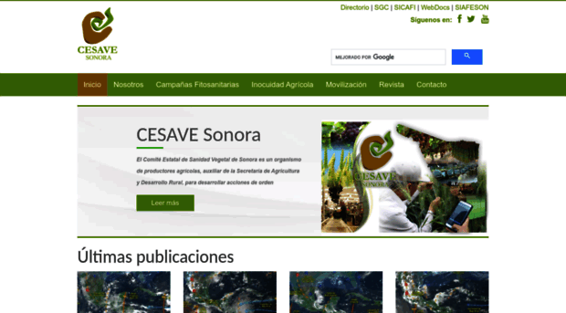 cesaveson.com