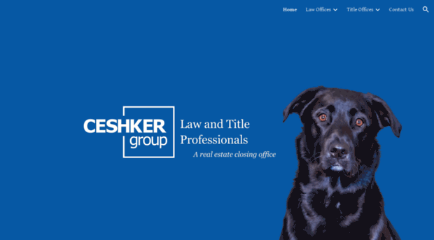 ceshkergroup.com