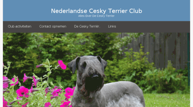 ceskyclub.nl