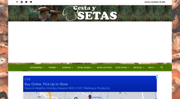 cestaysetas.com