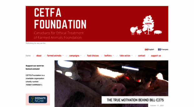 cetfa.org