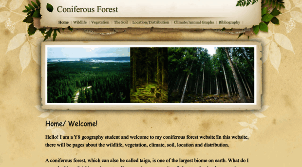 cforest.weebly.com