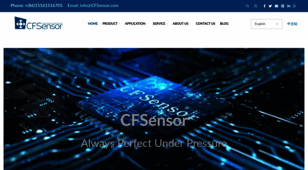 cfsensor.com