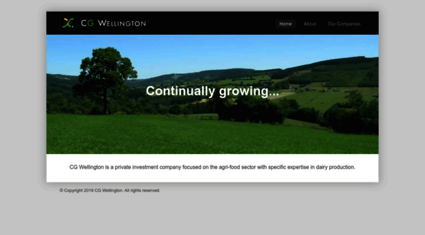 cgwellington.com