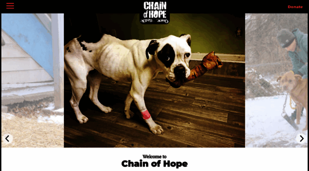 chainofhopekc.org