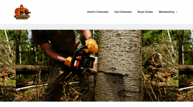 chainsawadam.com