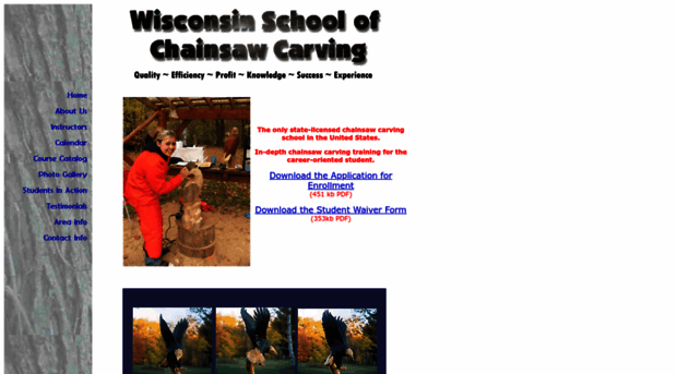 chainsawcarvingschool.com