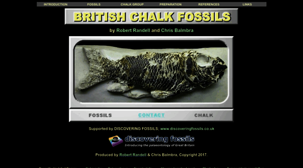 chalk.discoveringfossils.co.uk