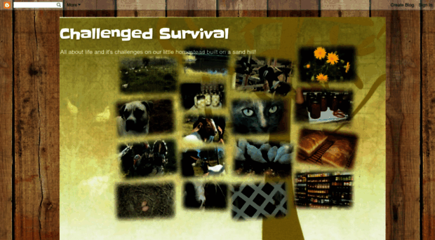 challengedsurvival.blogspot.com