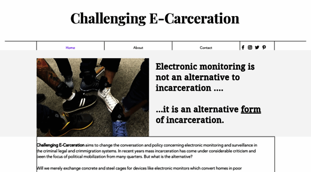 challengingecarceration.org