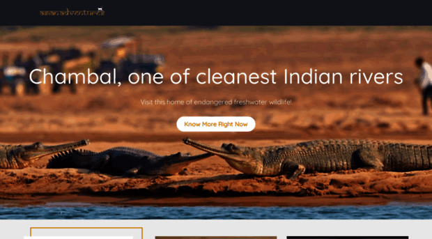 chambalsafaris.com