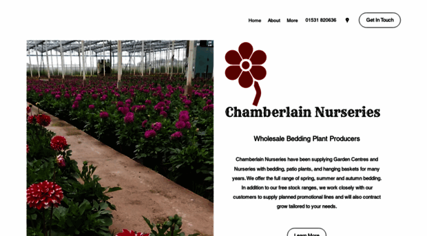 chamberlainnurseries.com