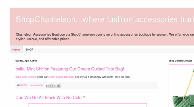 chameleon-online-accessories-boutique.com