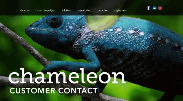 chameleoncustomercontact.com.au