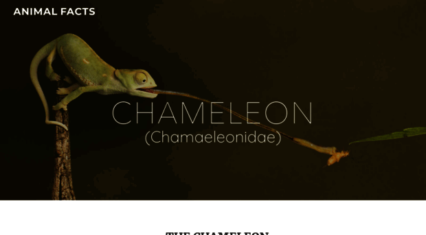 chameleonfacts.weebly.com