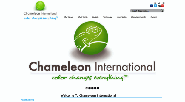 chameleonint.com