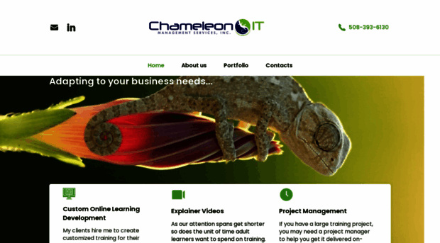 chameleonit.com