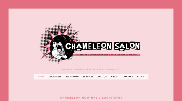 chameleonnw.com