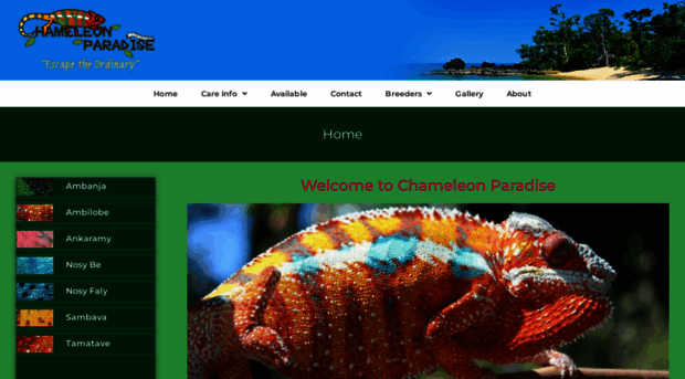 chameleonparadise.com