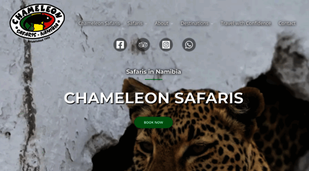 chameleonsafaris.com