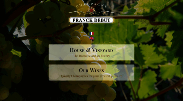 champagne-franck-debut.com