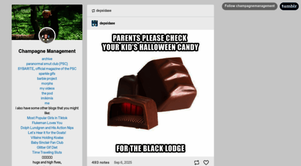 champagnemanagement.com