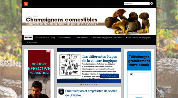 champignonscomestibles.com