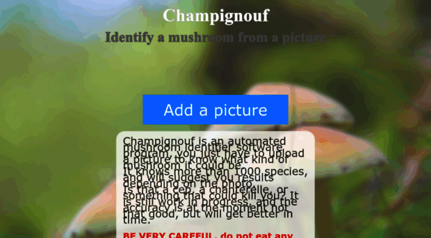 champignouf.com