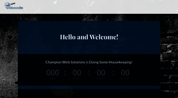 champion-web-solutions.com