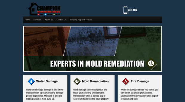 championrestorationexperts.com