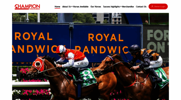 championthoroughbreds.com.au