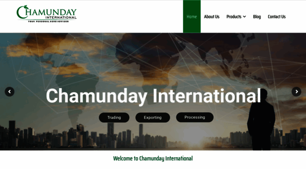 chamundayinternational.com