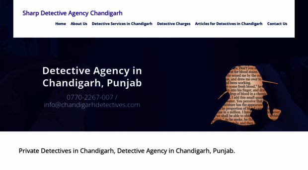 chandigarhdetectives.com