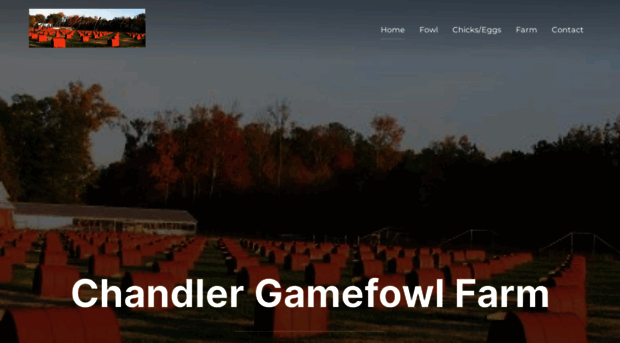 chandlergamefowlfarm.com