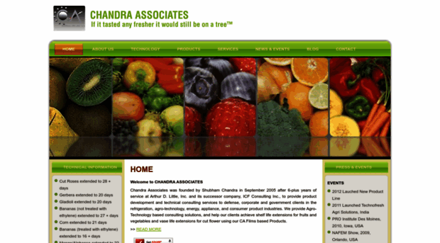 chandraassociates.com