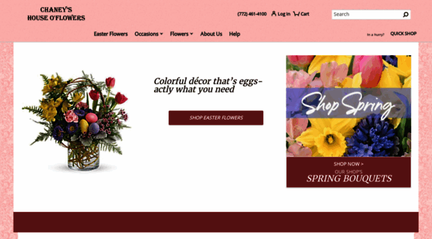 chaneysflorist.com