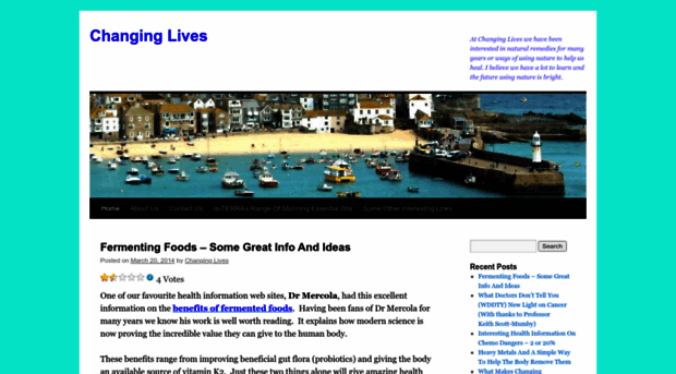 changinglivesstives.com